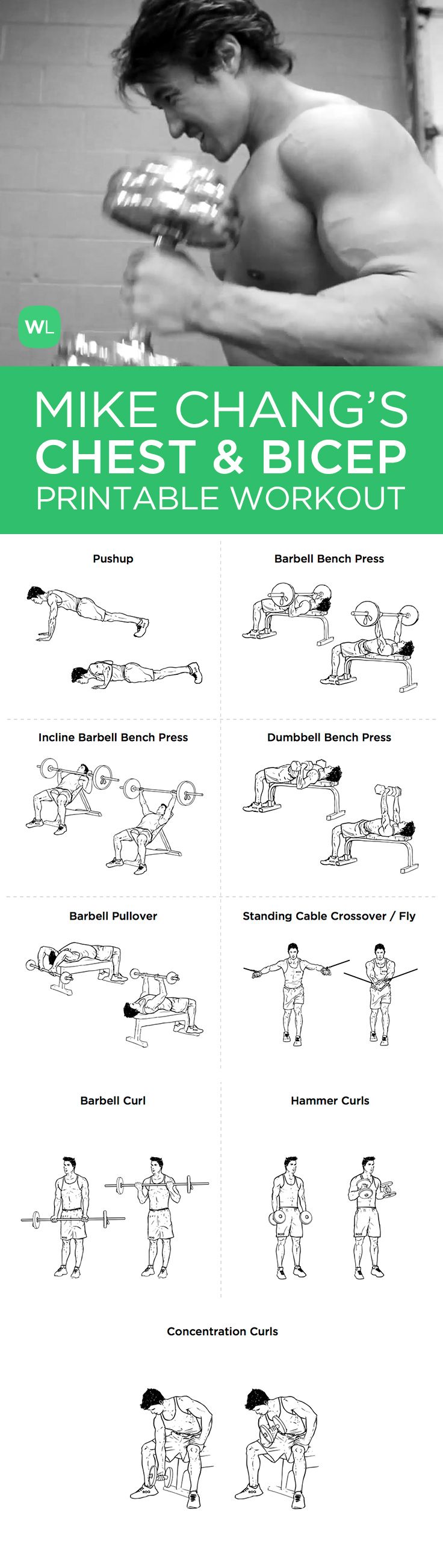 bullworker exercise chart pdf